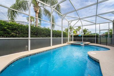 Pool view showing living fence and privacy screens