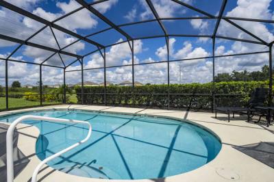 pool view showing assist bar with screen enclosure with privacy shrub